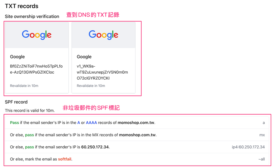 找到DNS的TXT記錄