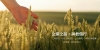 changxin-01